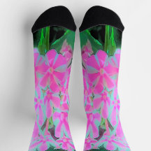 ホットピンクとホワイトペパーミントツイストガーデンフロックス