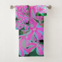 ホットピンクとホワイトペパーミントツイストガーデンフロックス