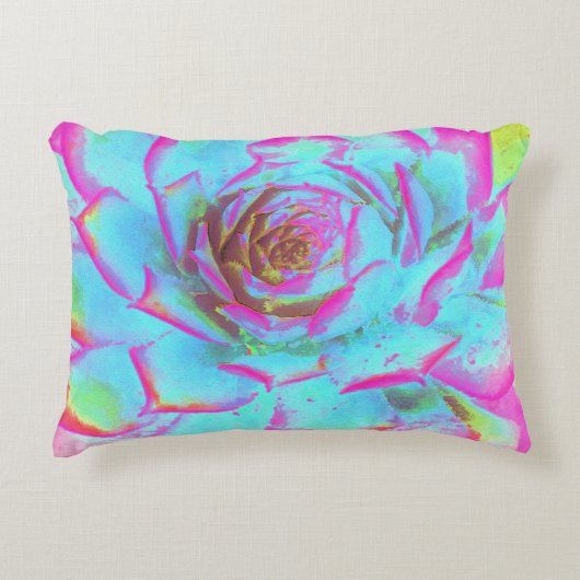 ホットピンクと青の多肉性セダムロゼット アクセントクッション (正面)