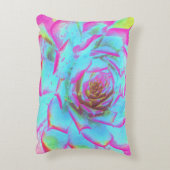 ホットピンクと青の多肉性セダムロゼット アクセントクッション (裏面(縦))