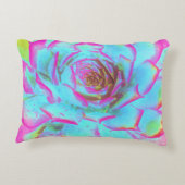 ホットピンクと青の多肉性セダムロゼット アクセントクッション (裏面)