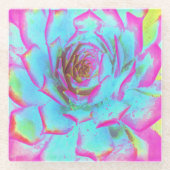 ホットピンクと青の多肉性セダムロゼット ガラスコースター (正面)