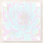 ホットピンクと青の多肉性セダムロゼット ガラスコースター (裏面)