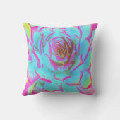 ホットピンクと青の多肉性セダムロゼット クッション (裏面)