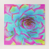 ホットピンクと青の多肉性セダムロゼット ジグソーパズル (横)