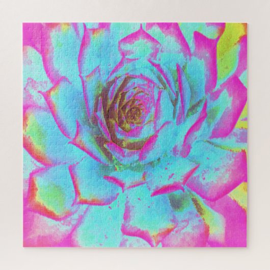 ホットピンクと青の多肉性セダムロゼット ジグソーパズル (縦)