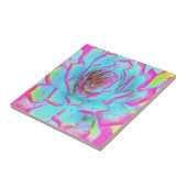 ホットピンクと青の多肉性セダムロゼット タイル (側面)