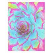 ホットピンクと青の多肉性セダムロゼット テーブルクロス (正面)