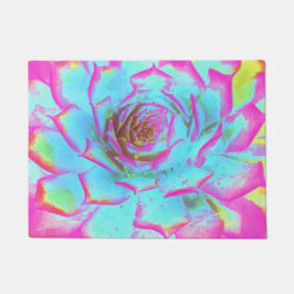 ホットピンクと青の多肉性セダムロゼット ドアマット