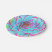 ホットピンクと青の多肉性セダムロゼット ペーパープレート (アングル)