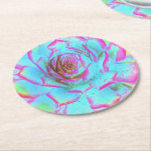 ホットピンクと青の多肉性セダムロゼット ラウンドペーパーコースター (アングル)