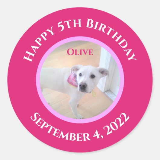 ホットピンクのスカーフを巻いたかわいい子犬の写真 ラウンドシール (正面)