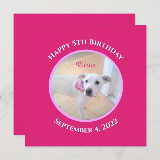 ホットピンクのスカーフを巻いたかわいい子犬の写真 招待状 (正面/裏面)