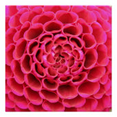 ホットピンクの花のポスター ポスター (正面)