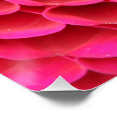 ホットピンクの花のポスター ポスター (コーナー)