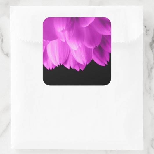 ホットピンクの花の花びらを黒に スクエアシール (バッグ)