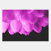 ホットピンクの花の花びらを黒に ラッピングペーパーシート (正面)
