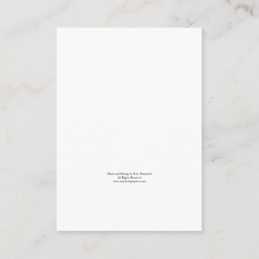 ホットピンクの菊の花の結婚式招待状の返信カード エンクロージャーカード (裏面)