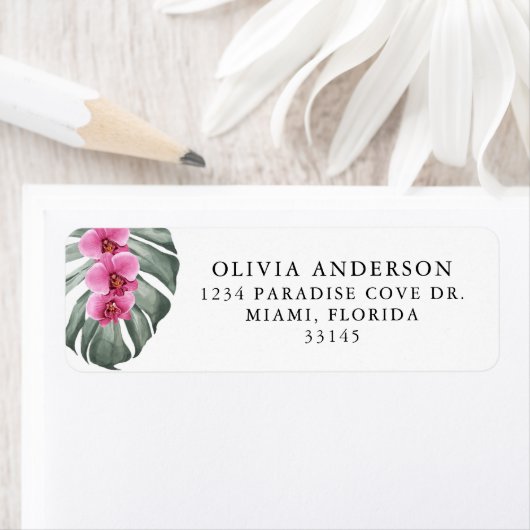 ホットピンクオーランズオンモンステラ熱帯フローラ ラベル (インサイチュ)