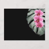 ホットピンクオーランズオンモンステラ熱帯詳細 エンクロージャーカード (裏面)