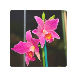 ホットピンクオーランズメタルアートプリント メタルプリント