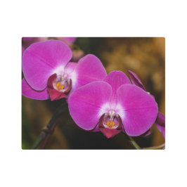 ホットピンクオーランズメタルアートプリント メタルプリント