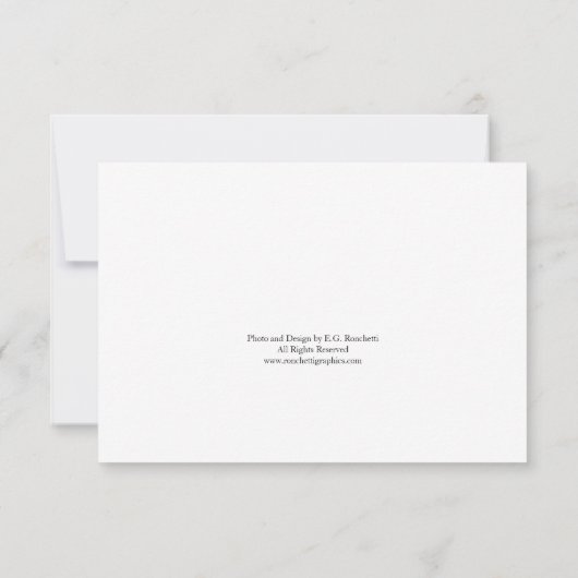 ホットピンククリサンテメムフローラありがとうございました 招待状 (裏面)