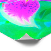 ホットピンクスターガーザーリリオンターコイズとグリーン ポスター (角)