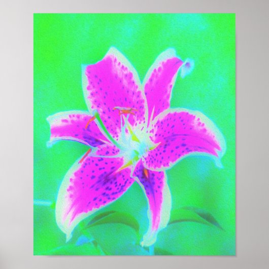 ホットピンクスターガーザーリリオンターコイズとグリーン ポスター (正面)