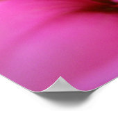 ホットピンクダリア ポスター (角)