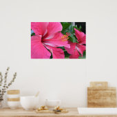 ホットピンクハイビスカス2個 ポスター (キッチン)