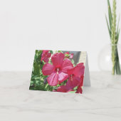 ホットピンクハイビスカス、悔やみや弔慰 カード (裏面)