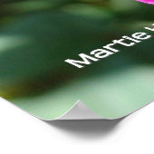 ホットピンクバラ ポスター (角)