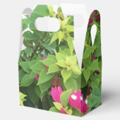 ホットピンクブーゲンビリア フェイバーボックス (オープン)