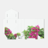 ホットピンクブーゲンビリア フェイバーボックス (折り畳みなし)