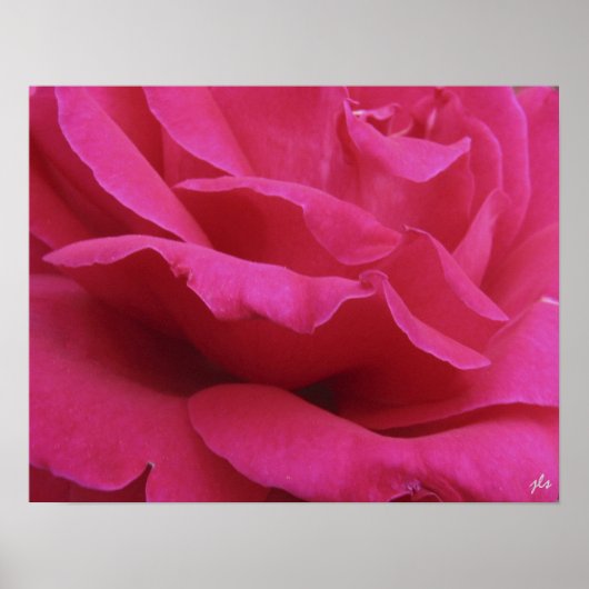 ホットピンクプリント ポスター (正面)