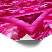 ホットピンク三角形 ポスター (コーナー)