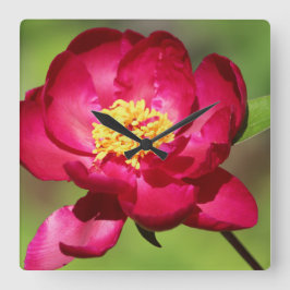 ホットピンク傾向 スクエア壁時計