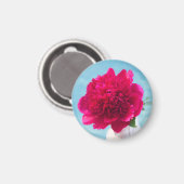 ホットピンク牡丹 マグネット (正面/裏面)