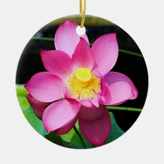 ホットピンク蓮の花 セラミックオーナメント (正面)