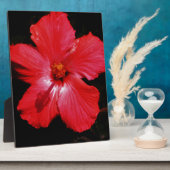 ホットピンク赤ハイビスカスフラワーオンブラック フォトプラーク (側面)