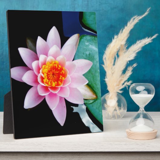 ホットピンク&オレンジの蓮の水百合花 フォトプラーク (側面)