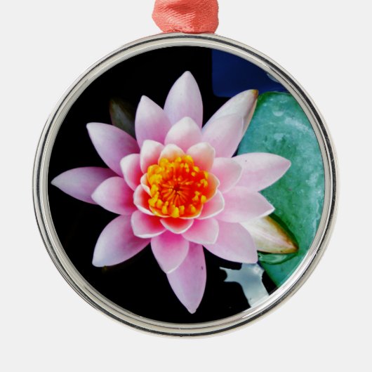 ホットピンク&オレンジの蓮の水百合花 メタルオーナメント (正面)