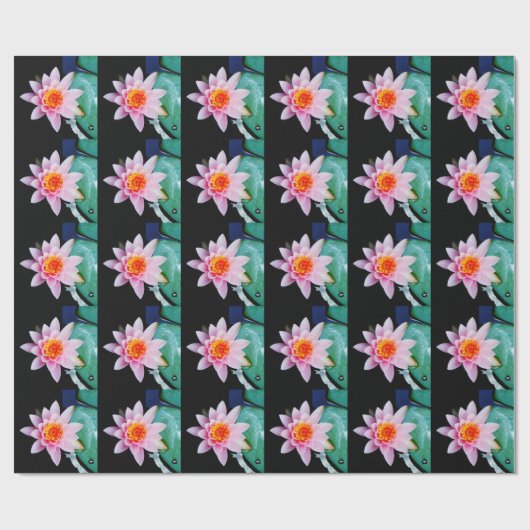 ホットピンク&オレンジの蓮の水百合花 ラッピングペーパー (フラット)