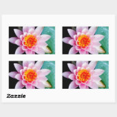 ホットピンク&オレンジの蓮の水百合花 長方形シール (シート)