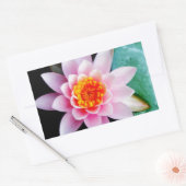 ホットピンク&オレンジの蓮の水百合花 長方形シール (封筒)