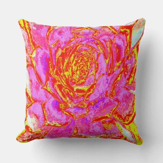 ホットピンク、赤と黄色の多肉性のセダムロゼット クッション (正面)