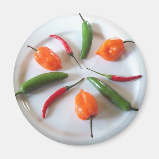 ホットペッパー2 マグネット (正面)