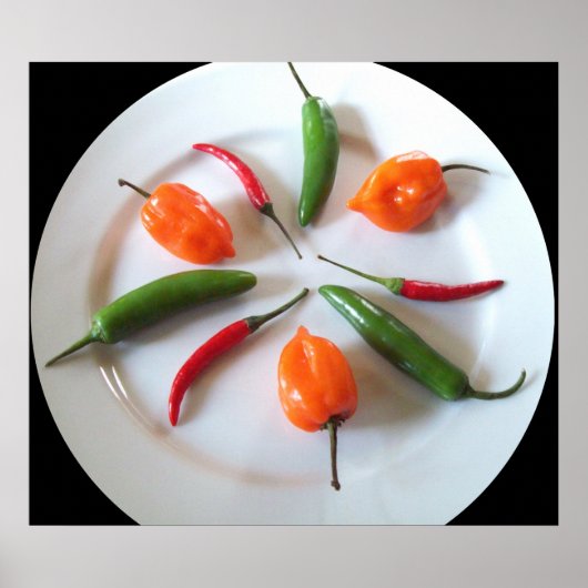 ホットペッパー ポスター (正面)