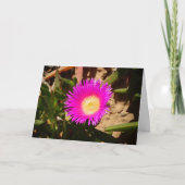 ホットントイチジクの地面に忍び寄る氷植物カード カード (正面)